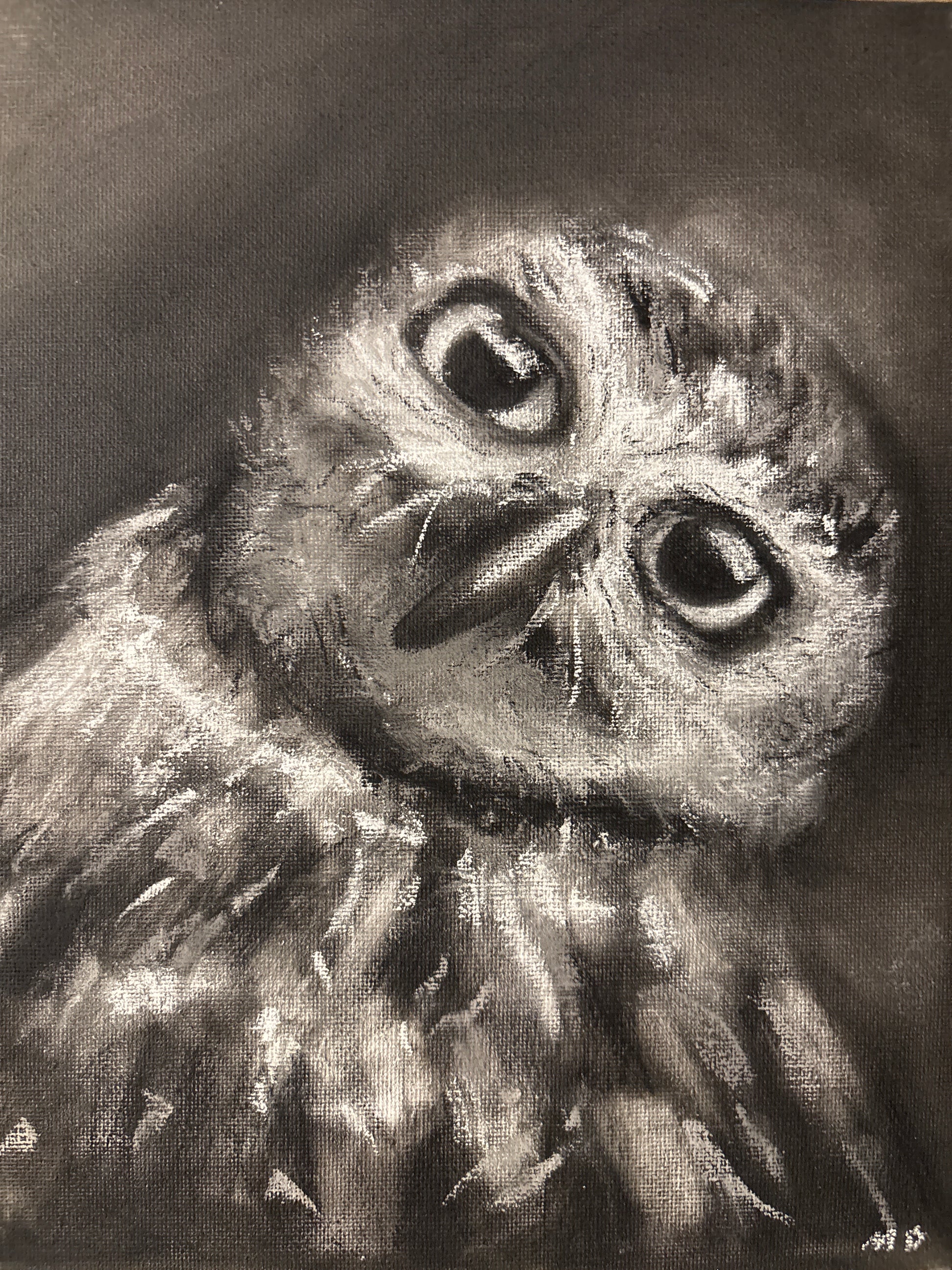 “Curiosity”