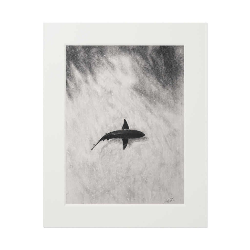 “Shark” Fine Art Prints (Passepartout Paper Frame)