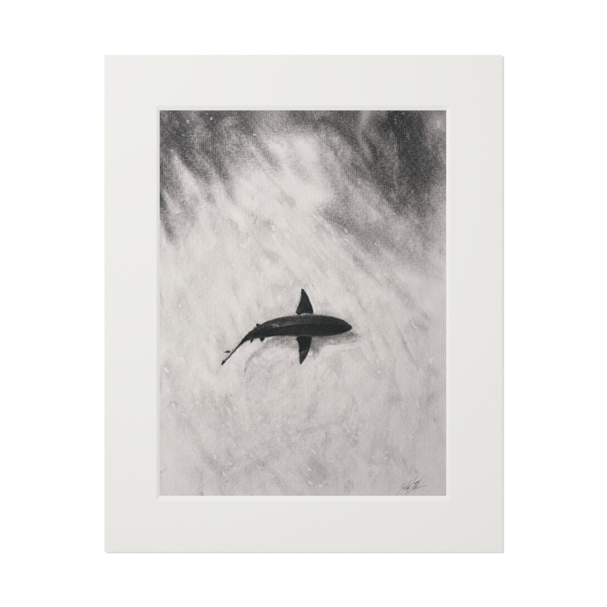 “Shark” Fine Art Prints (Passepartout Paper Frame)