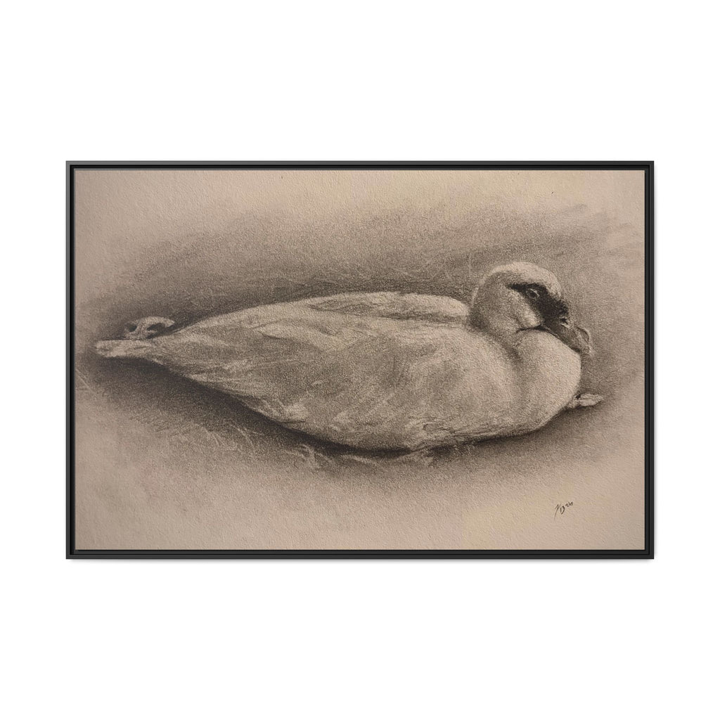 “Duck Rest”