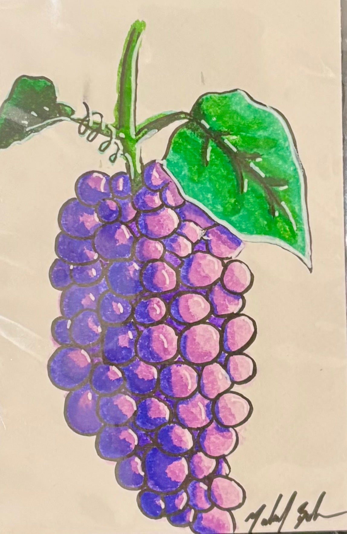 Purple Grapes