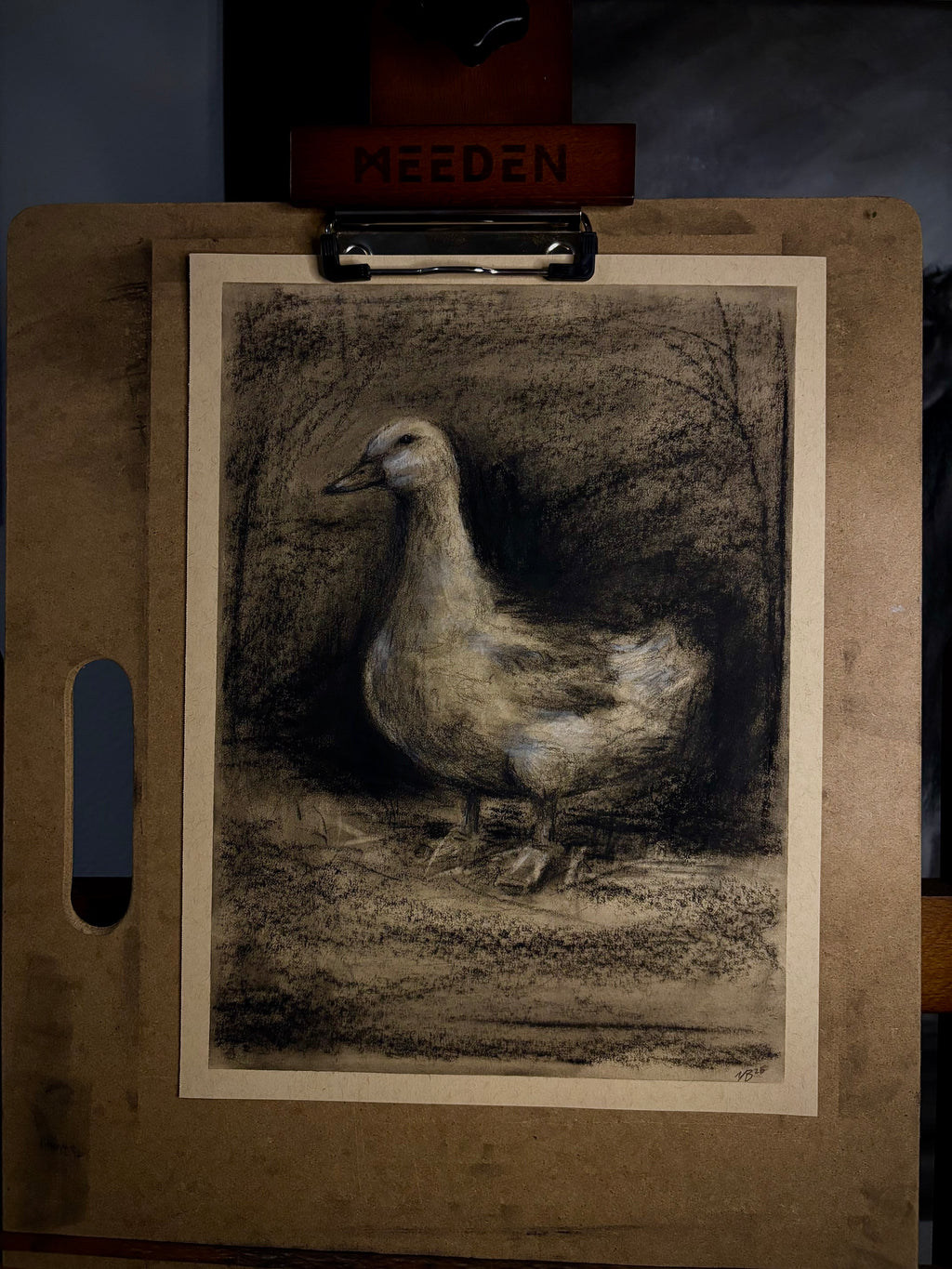 Quack Head