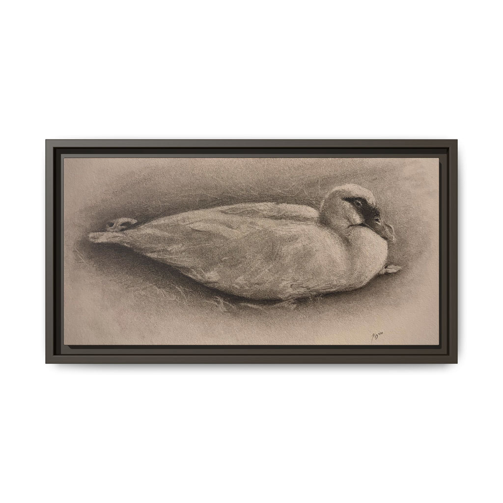 “Duck Rest”