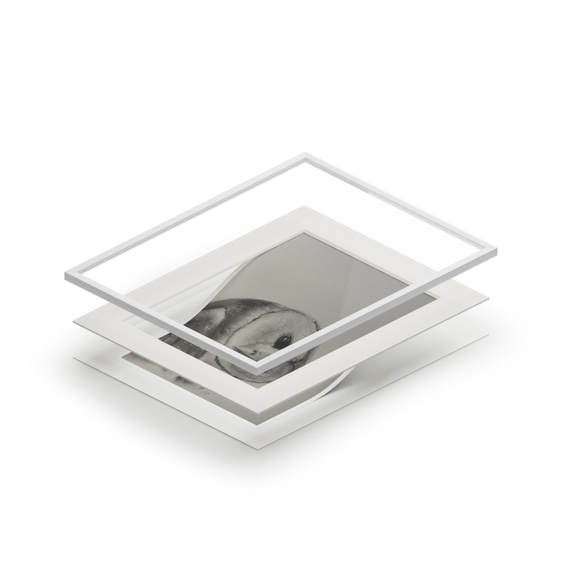 “Good Morning Owl” Fine Art Prints (Passepartout Paper Frame)