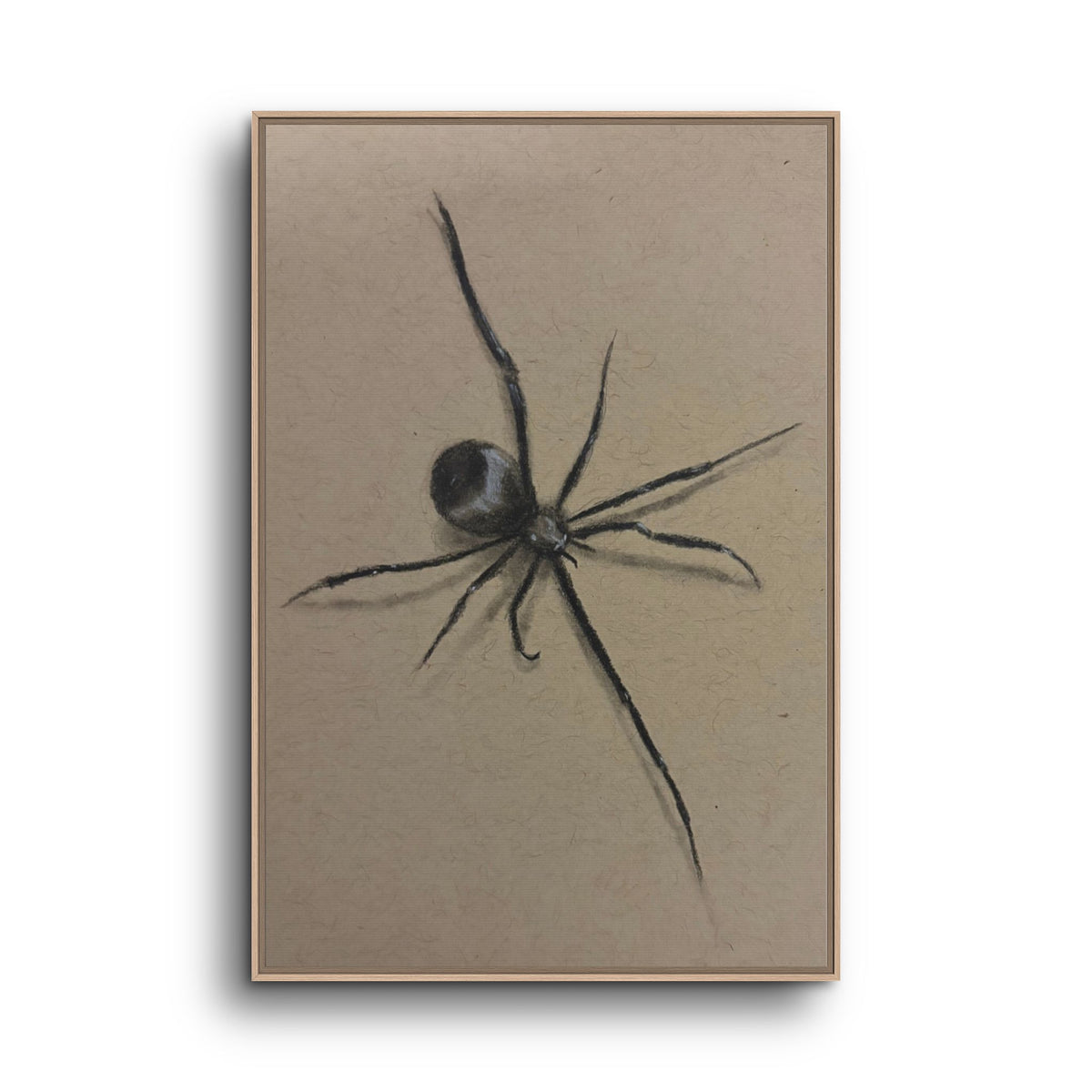 Framed Canvas Spider Wall Art