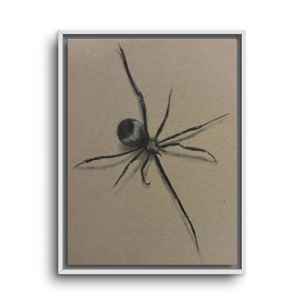 Framed Canvas Spider Wall Art