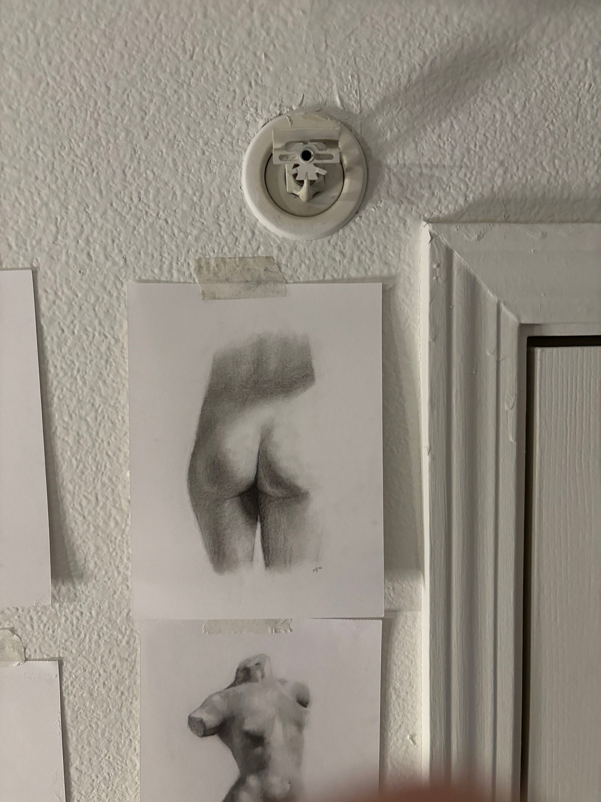 HIP DIPS (Small 6in X 8in)