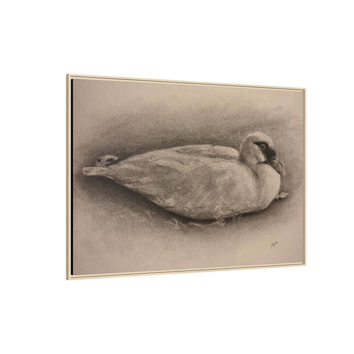 “Duck Rest”