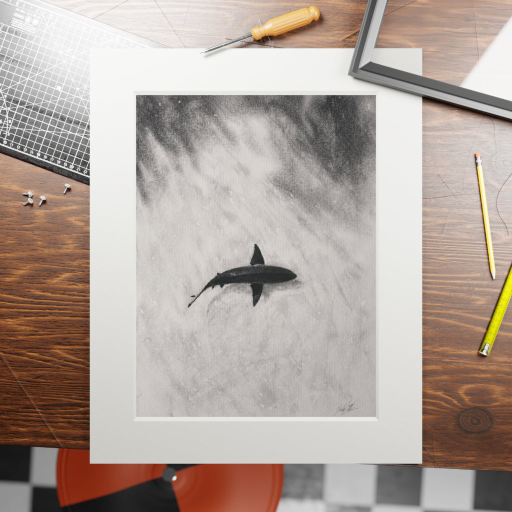 “Shark” Fine Art Prints (Passepartout Paper Frame)
