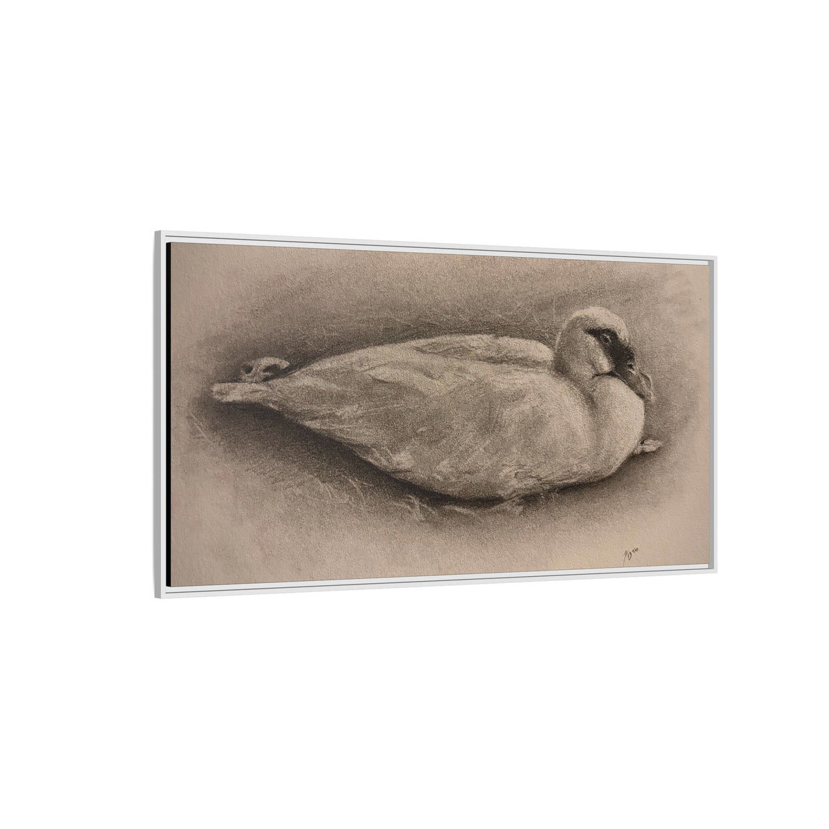 “Duck Rest”