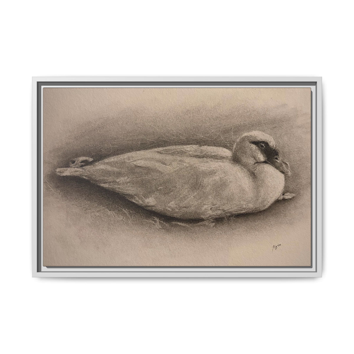 “Duck Rest”