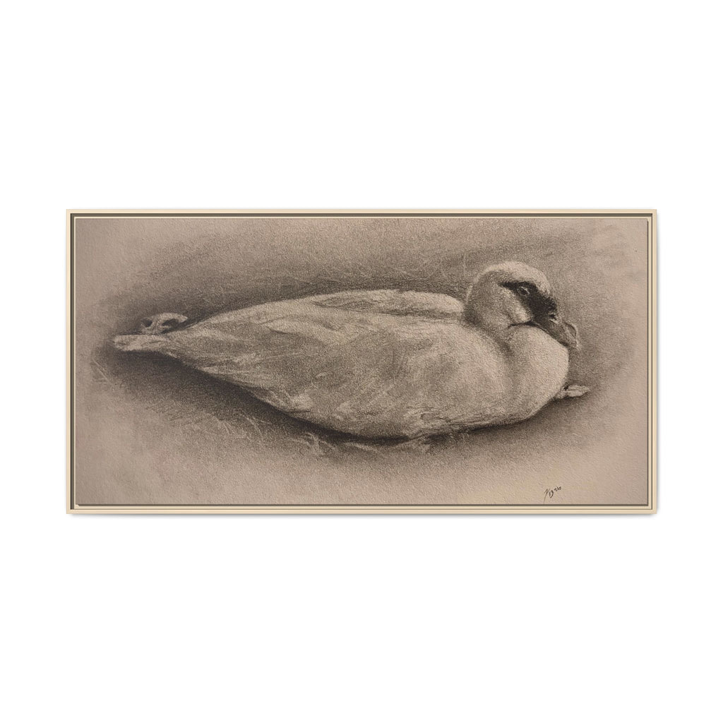 “Duck Rest”