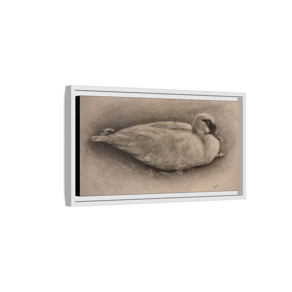 “Duck Rest”