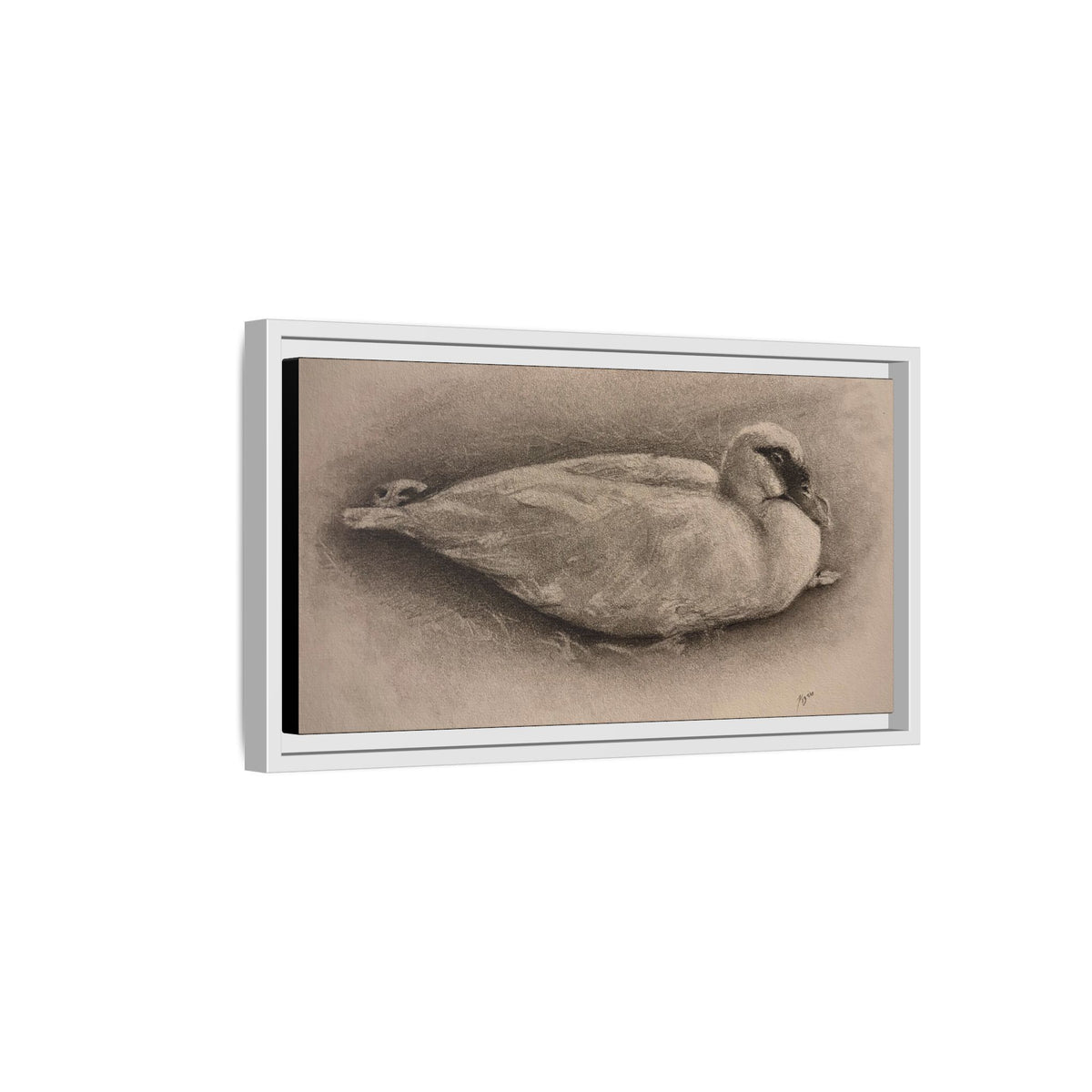 “Duck Rest”