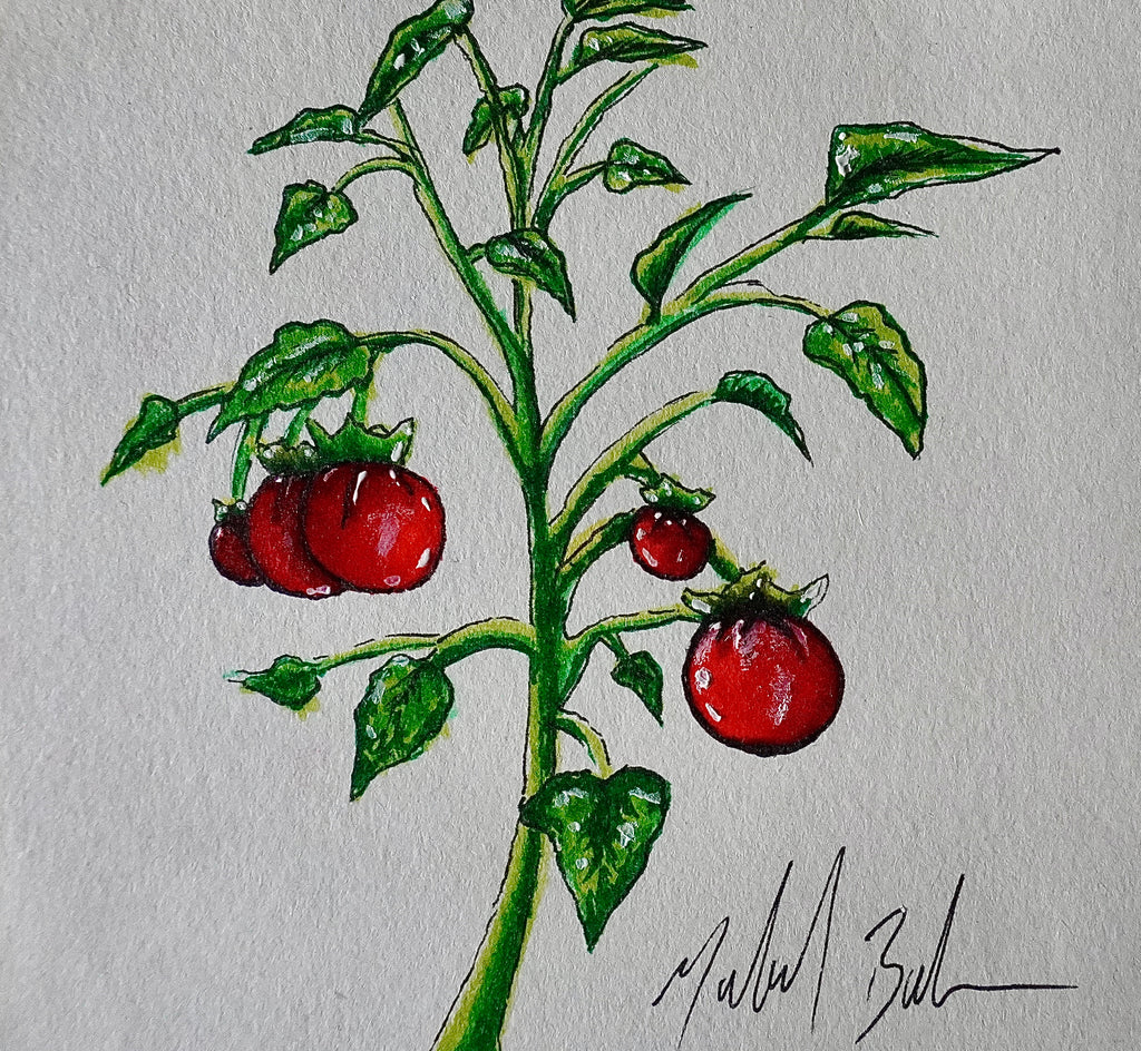 Tomato Tree