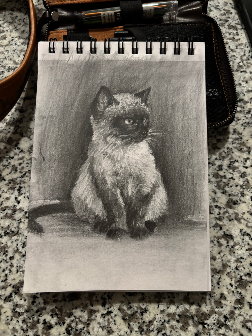 Kitty Charcoal