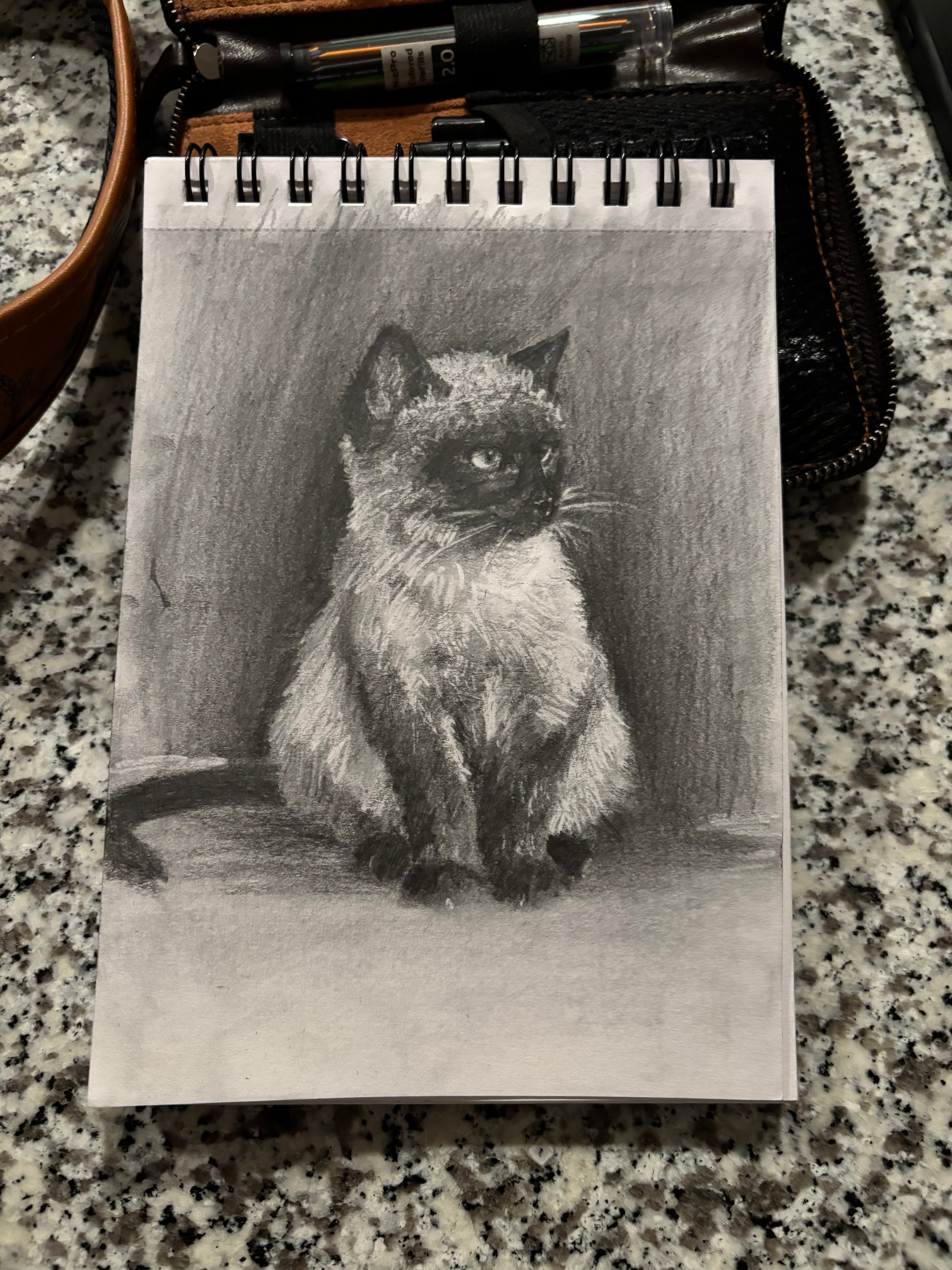 Kitty Charcoal