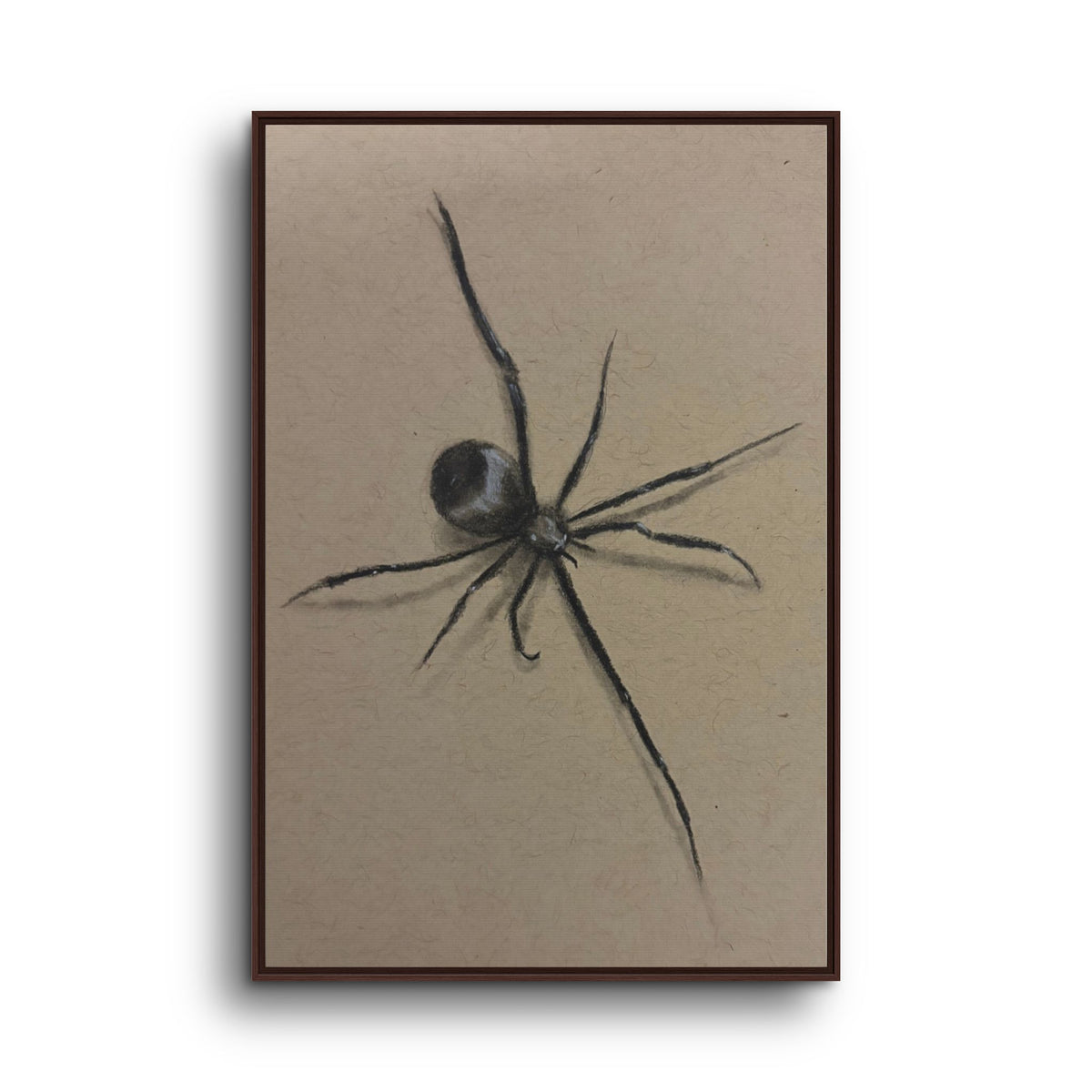Framed Canvas Spider Wall Art