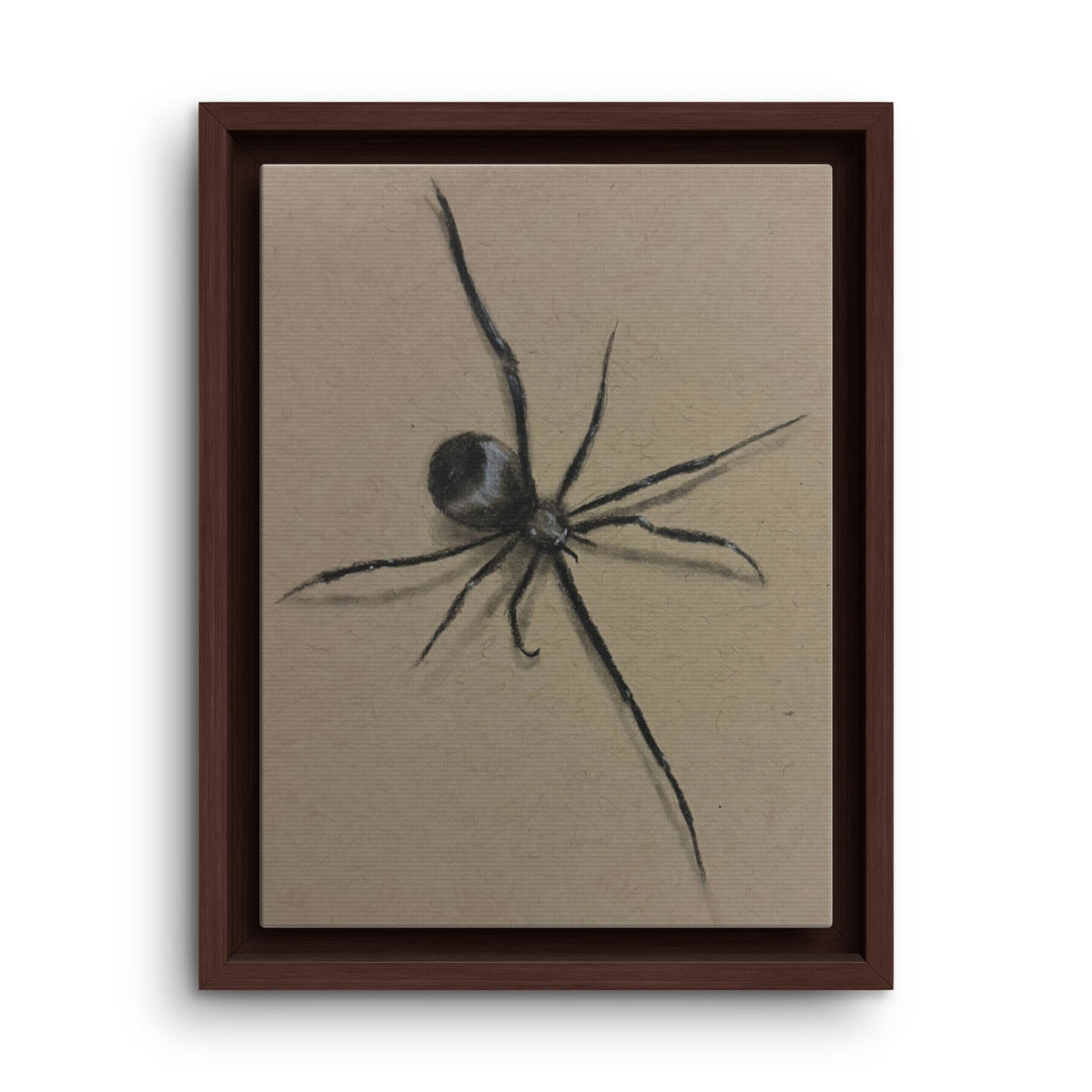 Framed Canvas Spider Wall Art