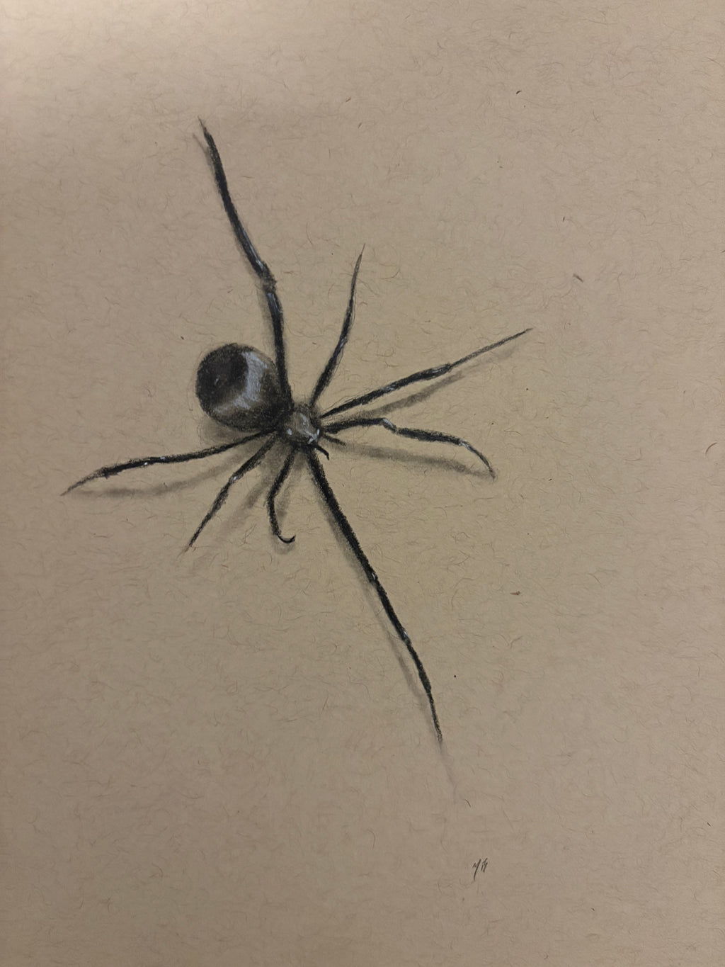 Creepy Crawly