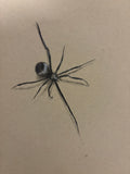 Creepy Crawly