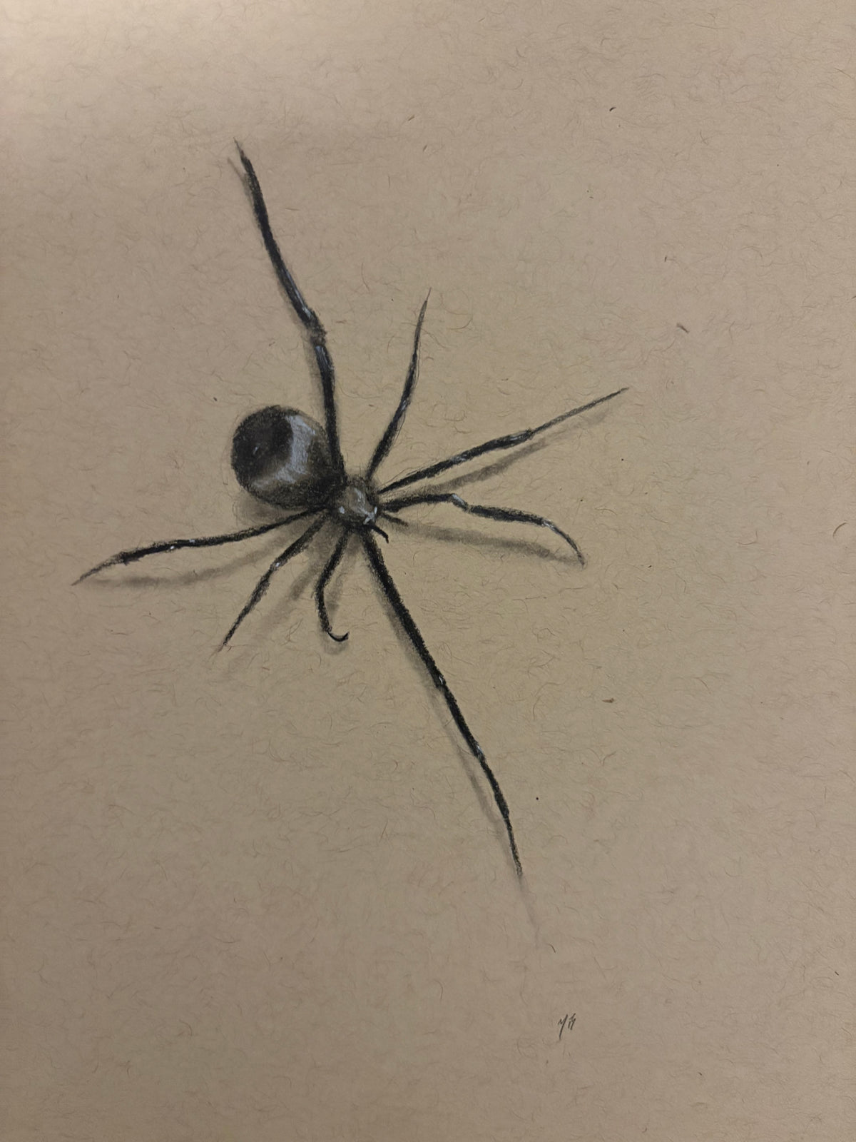 Creepy Crawly