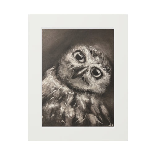 "CURIOSITY" Owl Charcoal Fine Art Print with Passepartout Frame