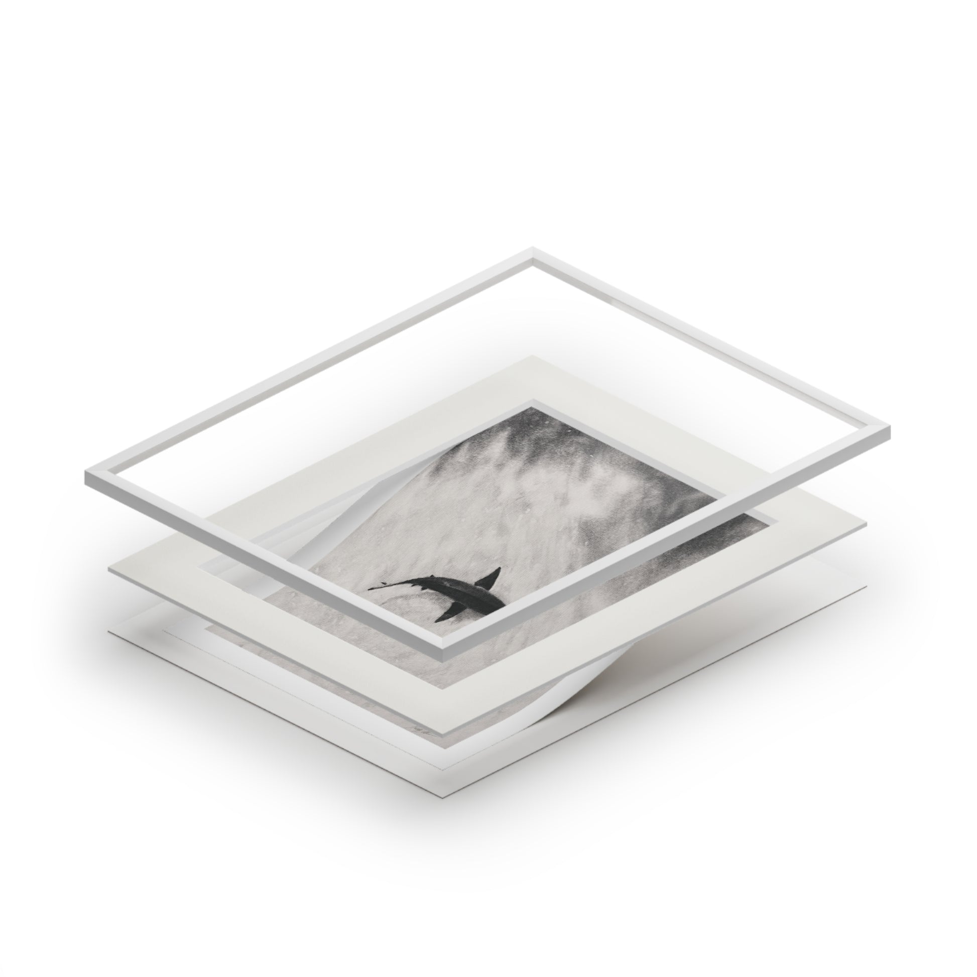 “Shark” Fine Art Prints (Passepartout Paper Frame)