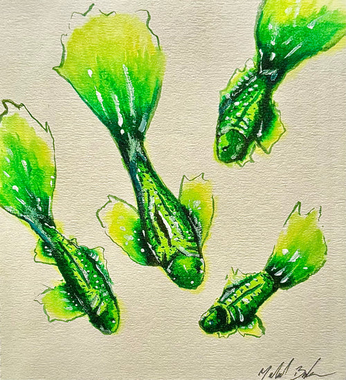 Sea Green