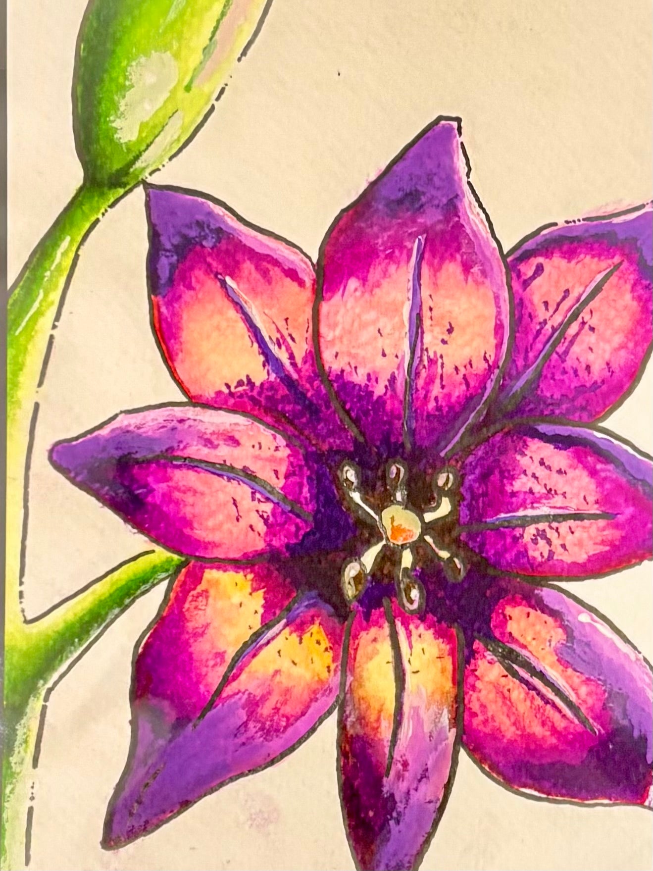 Purple Tiger Lilly Flower