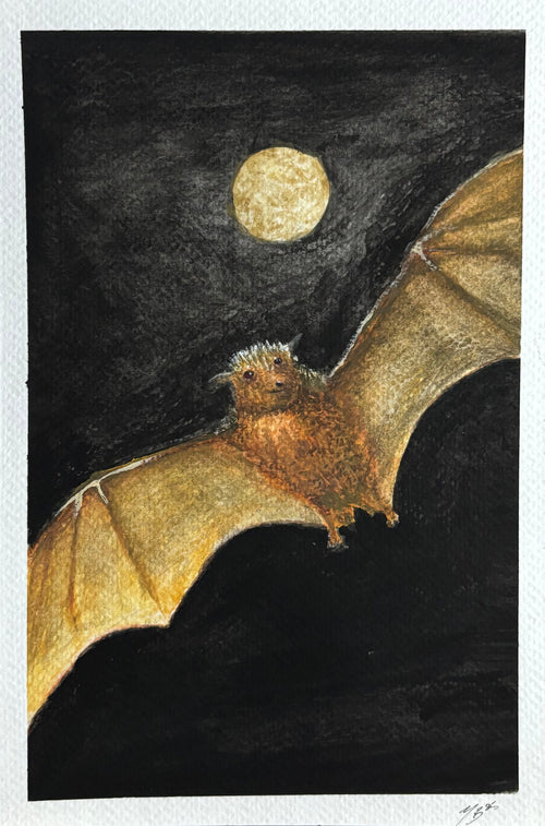 Brown Bat