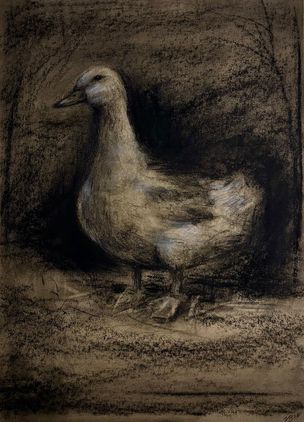 Quack Head
